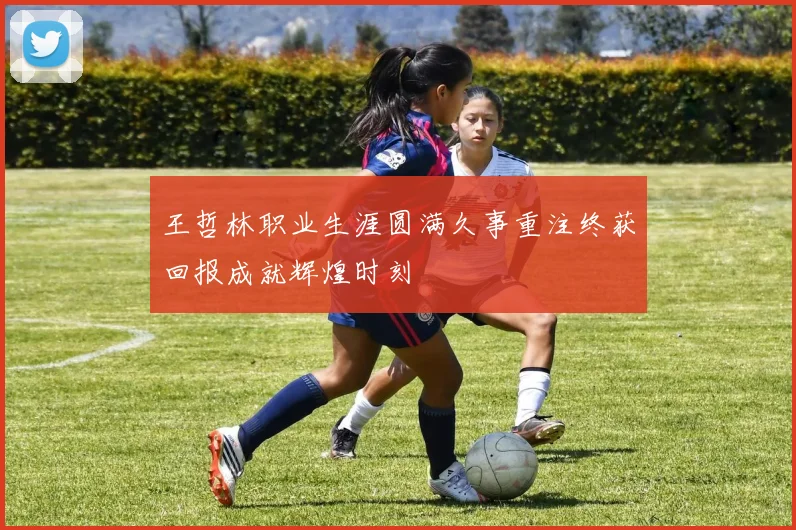 王哲林职业生涯圆满久事重注终获回报成就辉煌时刻